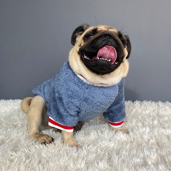 Pet sweater | Sweater For Cats. Dogs and Your All Pets