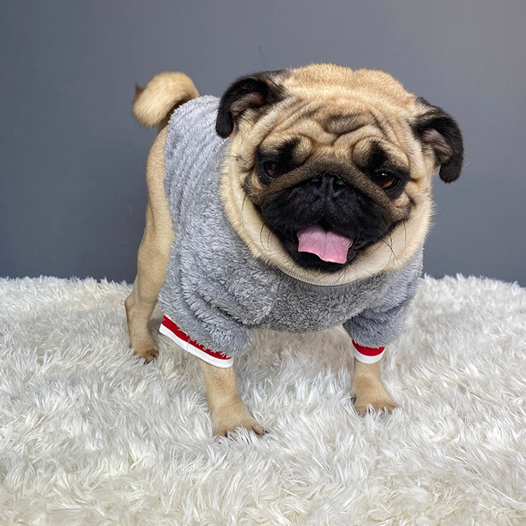 Pet sweater | Sweater For Cats. Dogs and Your All Pets